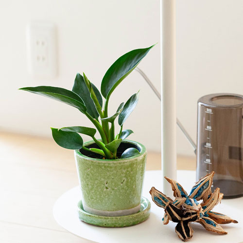 貫入加工カラー植木鉢