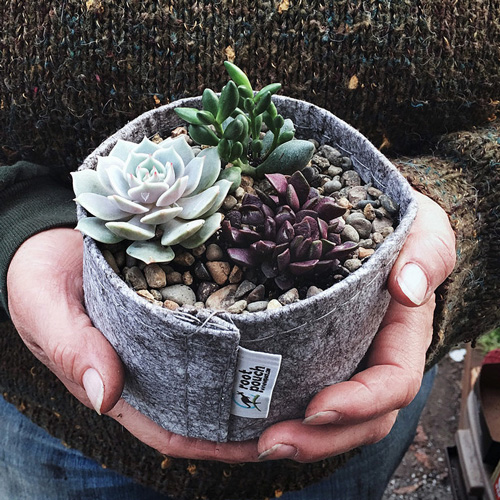 おしゃれな観葉植物,植木鉢の販売｜[公式]e花屋さん 本店