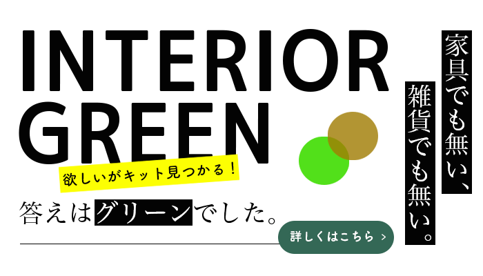 おしゃれ観葉植物の通販「初心者向け＆かわいい」インテリア植物