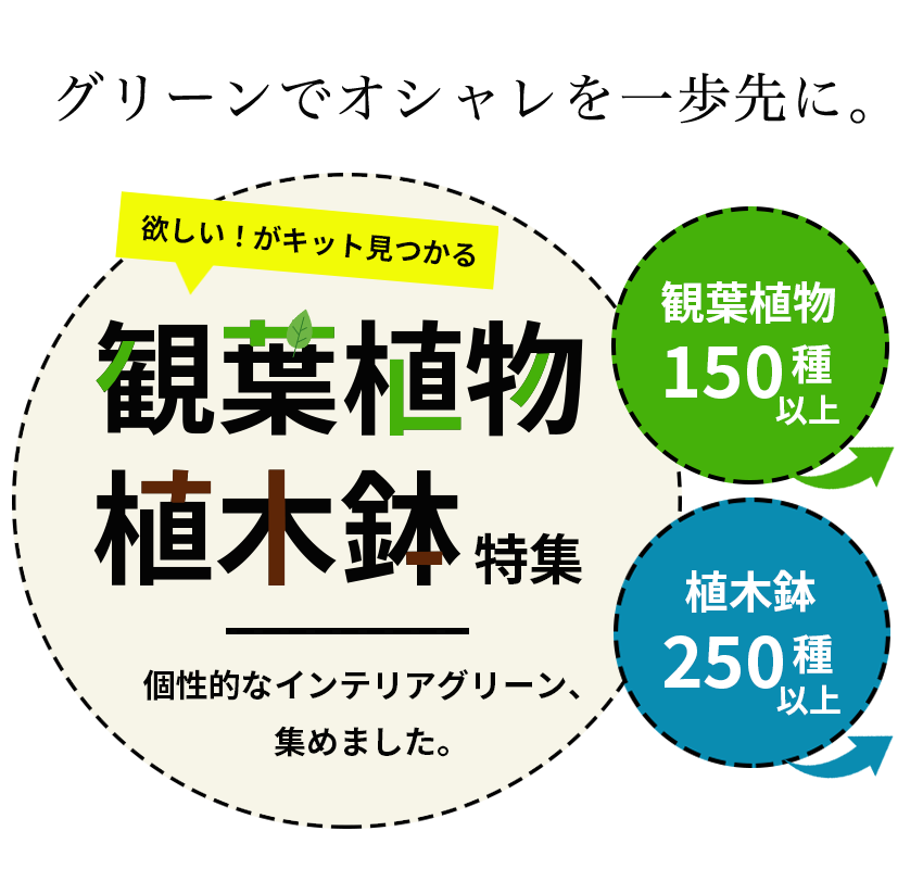 おしゃれな観葉植物 植木鉢の販売 公式 E花屋さん 本店