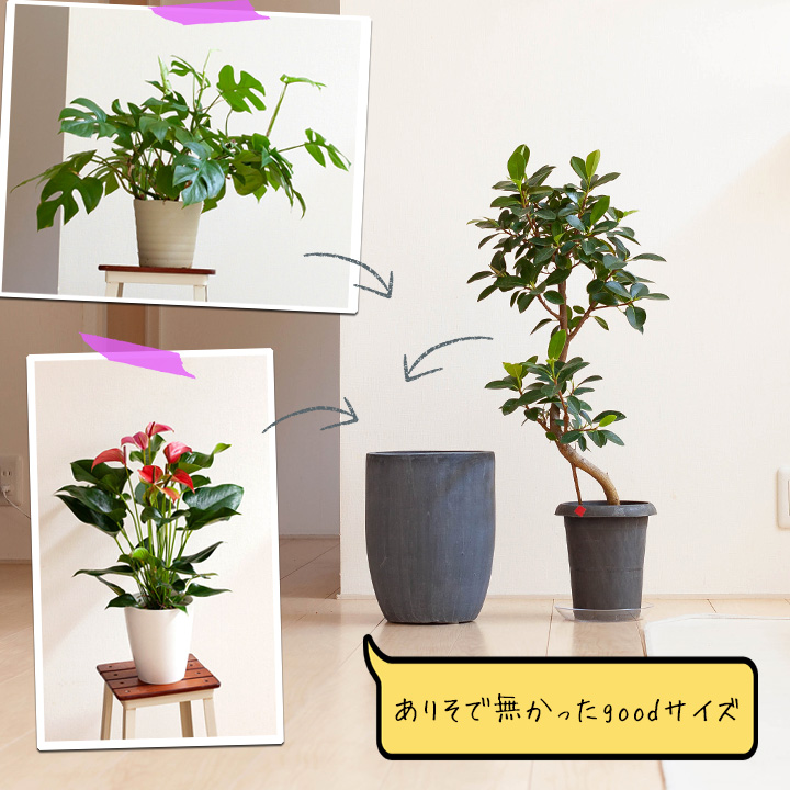 店長お勧め サイズ感goodな植木鉢 24cm シリンダ Vc24 植物とは同梱不可 公式 E 花屋さん