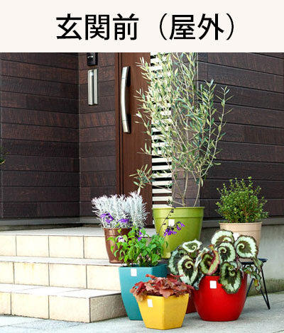 玄関前を彩る 屋外向け植木鉢 公式 E 花屋さん 本店