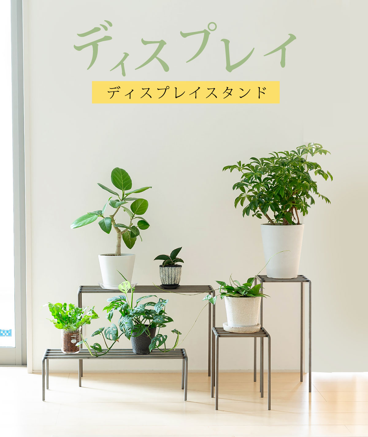 植物の飾り棚