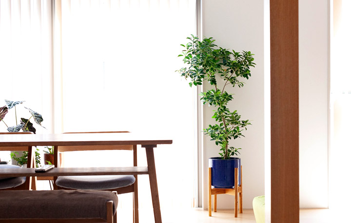 観葉植物を置く台 スタンド 木製 アイアン35種 E 花屋さん