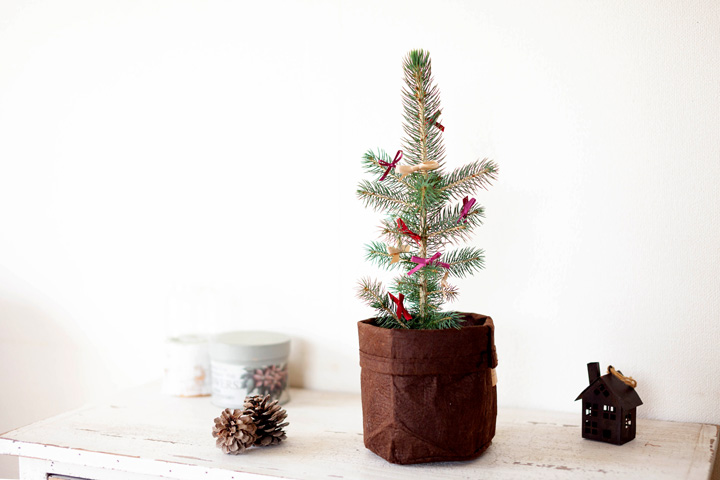 ベランダで育てる 小さなクリスマスツリー ピセア 公式 E 花屋さん