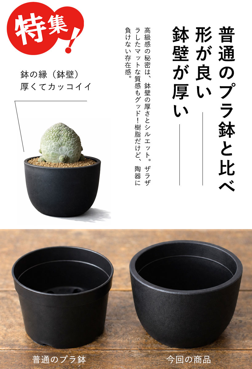 黒のベースポットの特徴