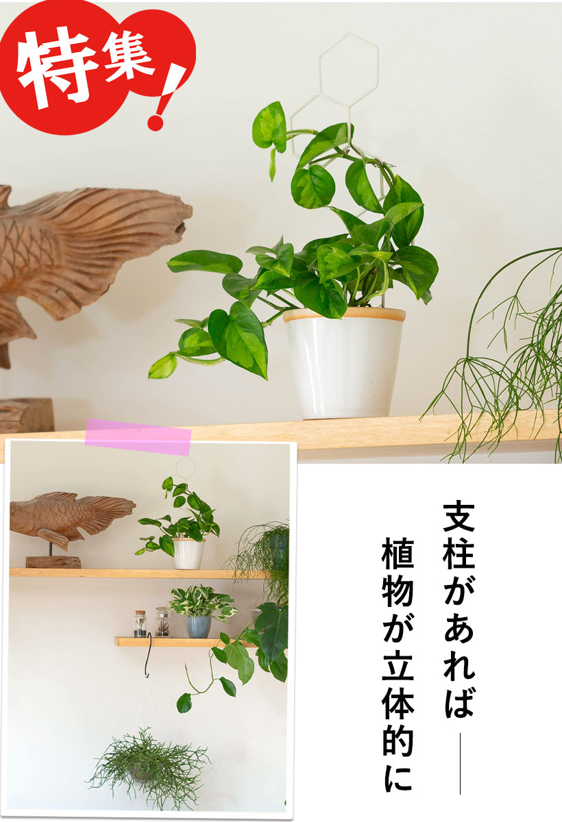 アイアン支柱の使用例