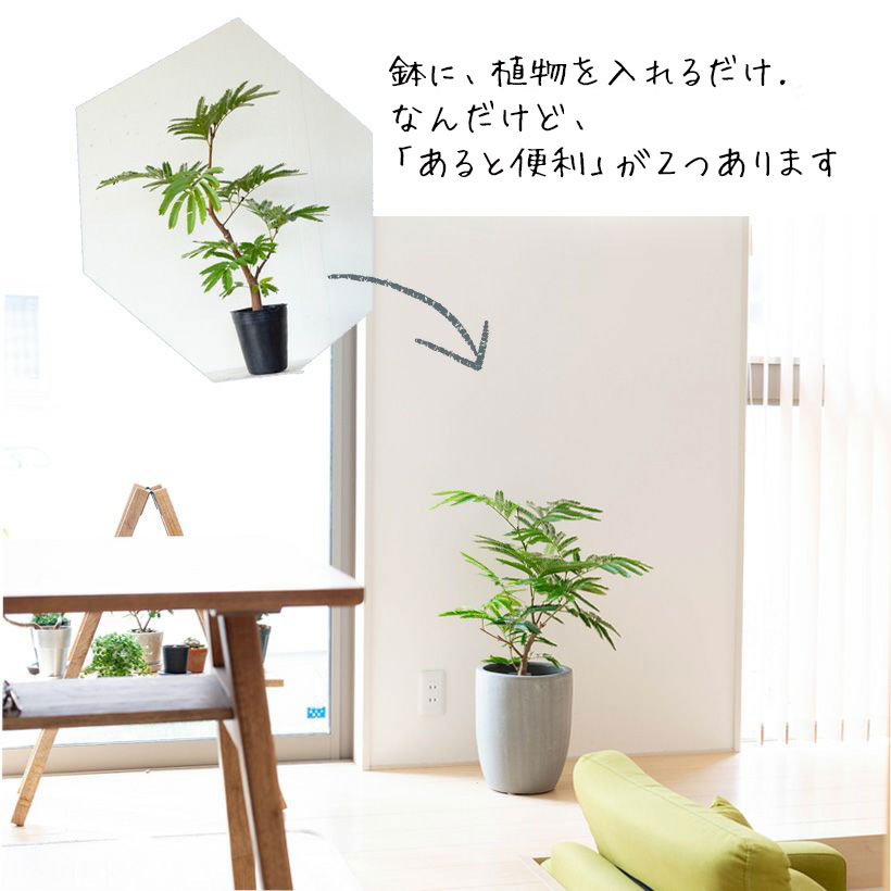 植木鉢の説明