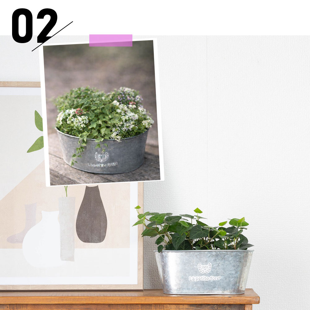 ブリキ鉢の汎用性