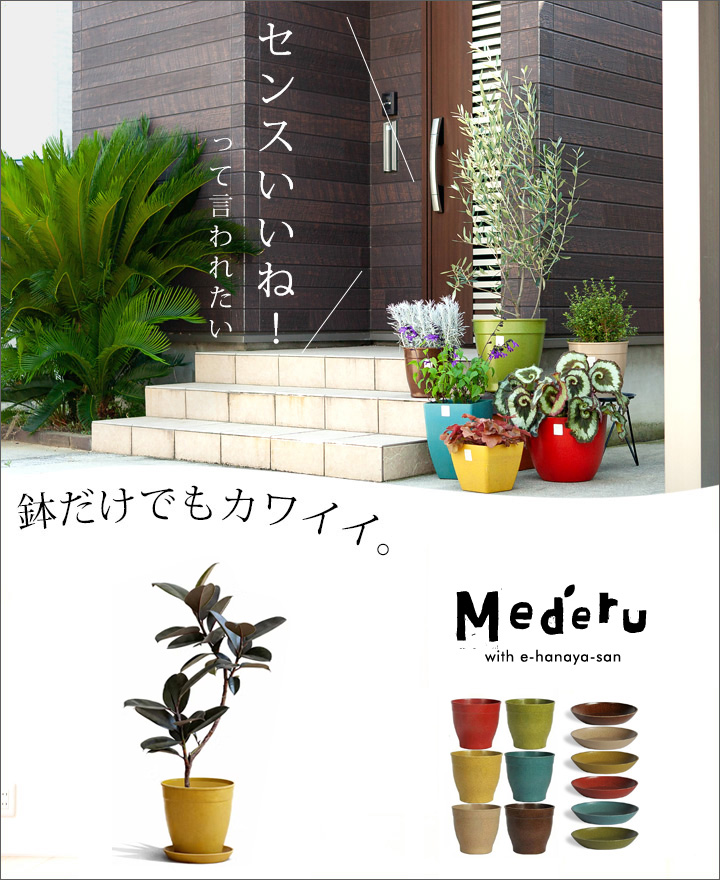 エコフォームズ