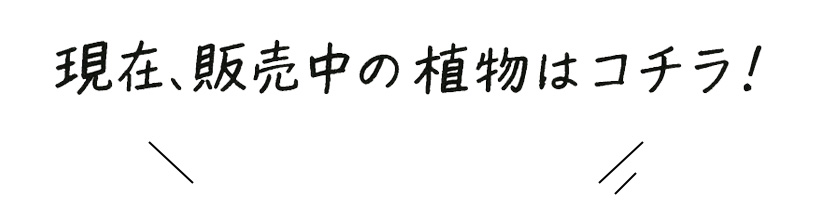 テキスト