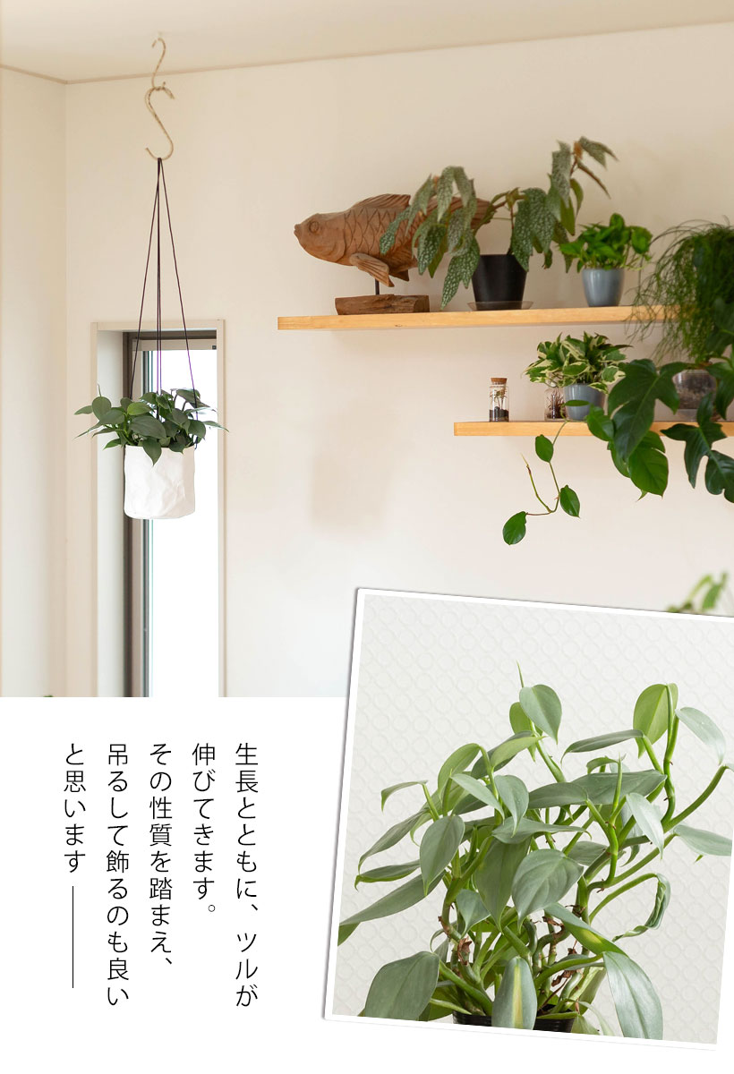 シルバーメタルを吊り下げた写真