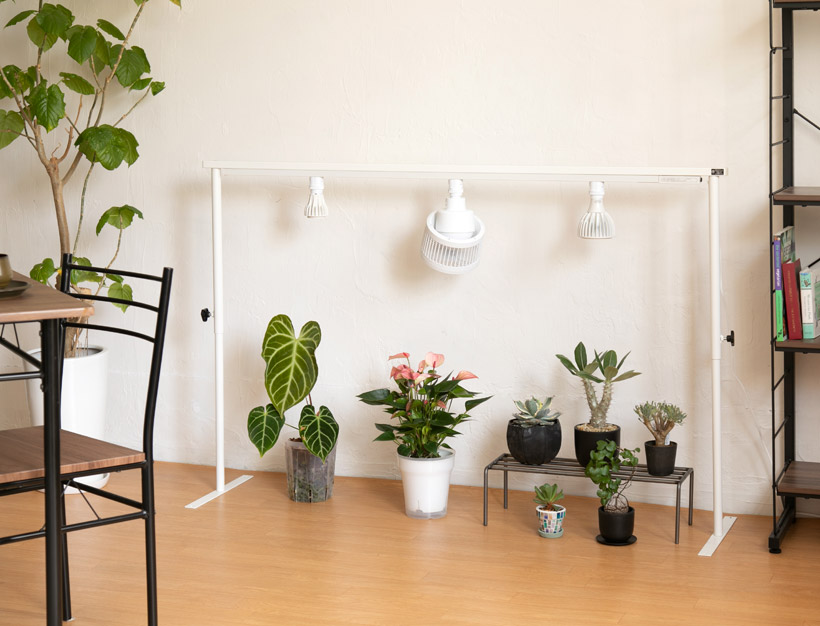 植物ライトレールスタンドの使用シーン