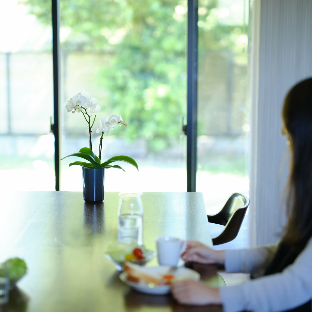 白いミニ胡蝶蘭を食卓に