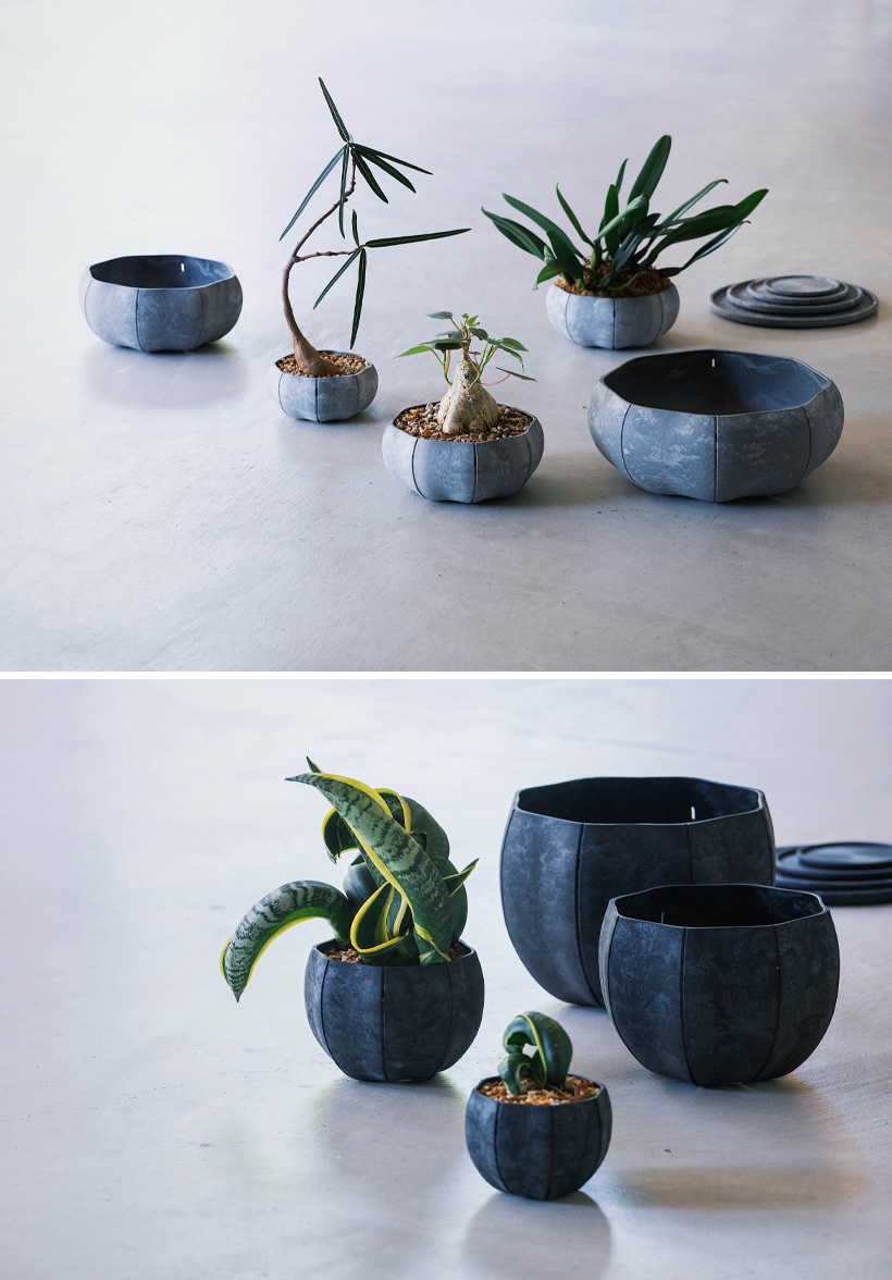 SENに色々な植物を植えたイメージ写真