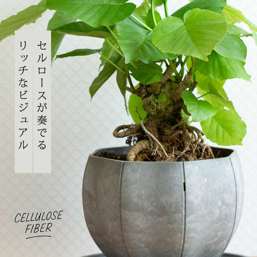 SENの特徴であるセルロースファイバーの質感