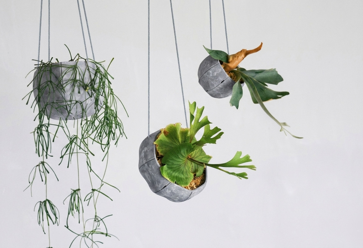 植物を植えて吊るした例