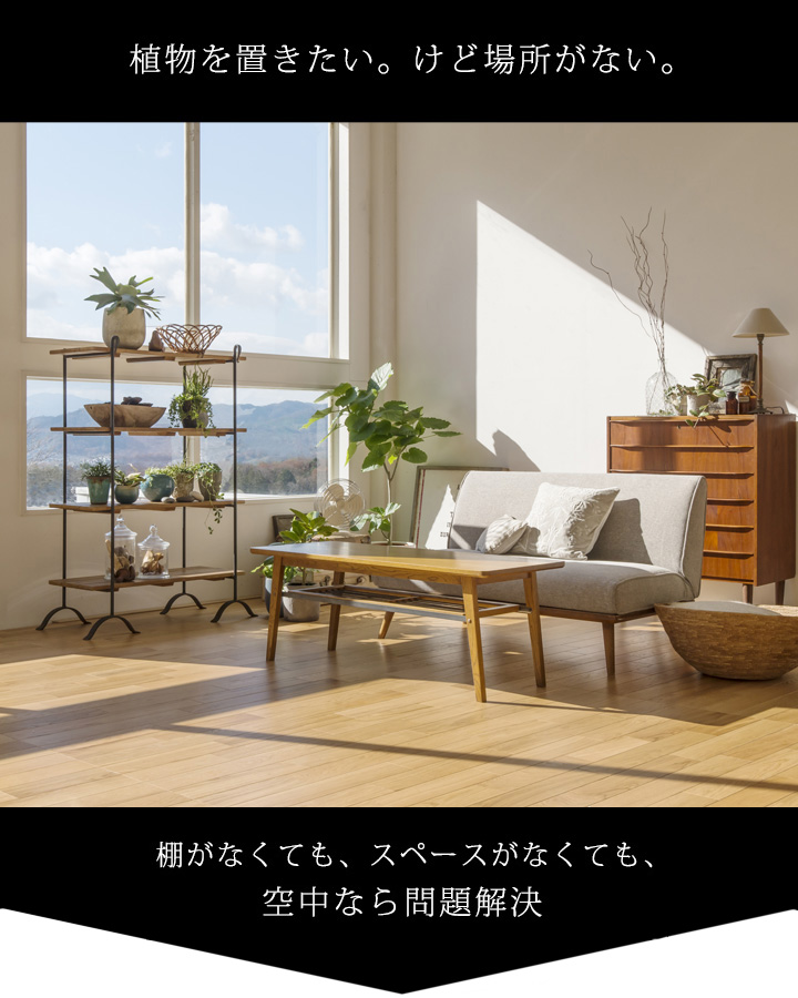 植物を置く場所がない時は、苔玉を吊るそう