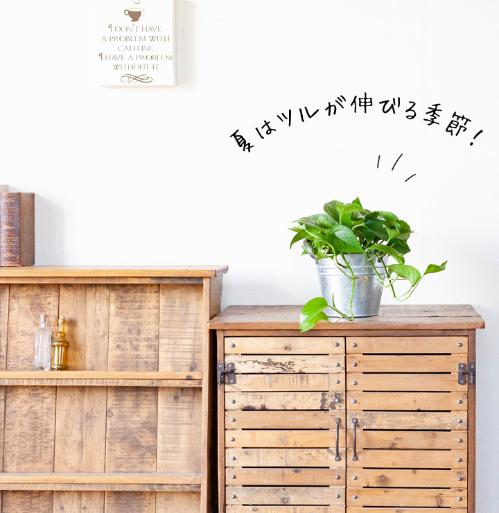 訳有り送料半額
