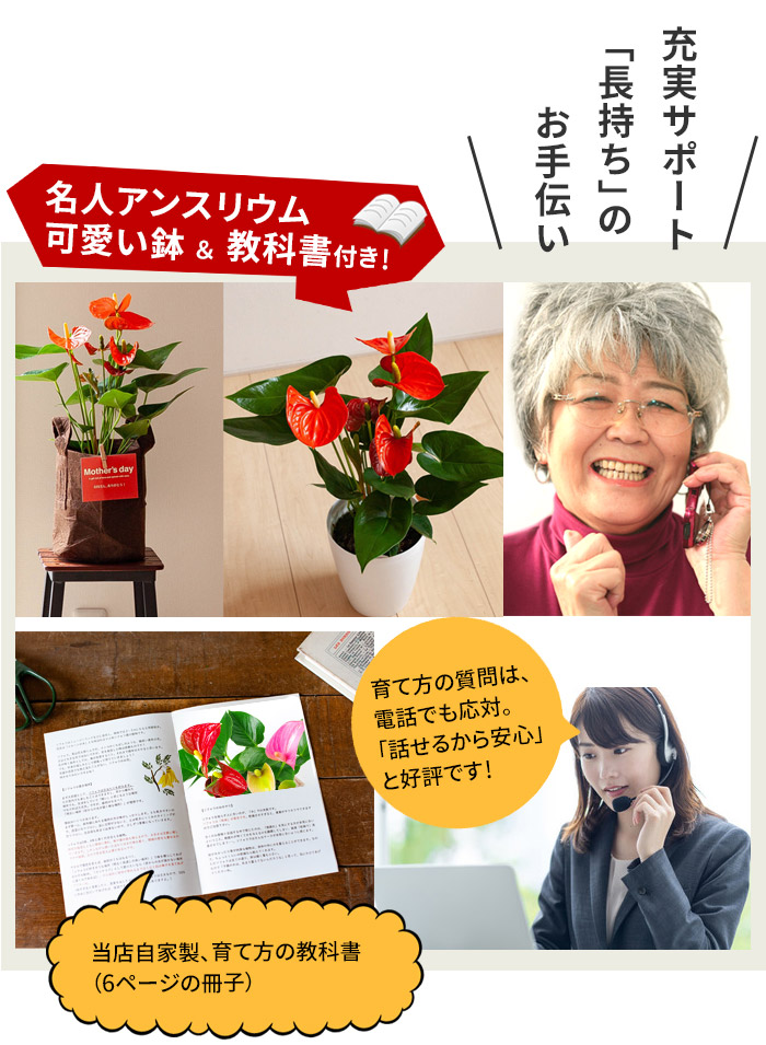 充実のサポート