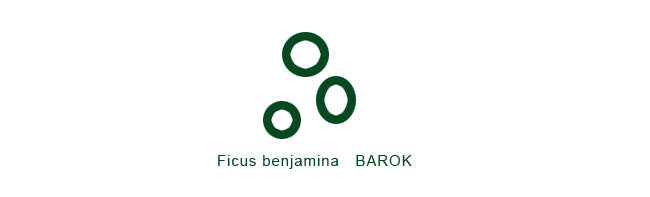 ベンジャミン・バロック