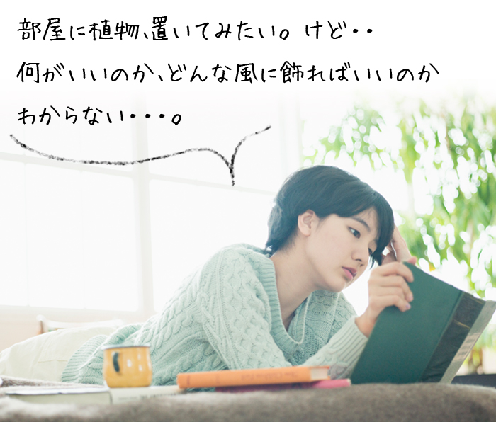 飾り方がわからない