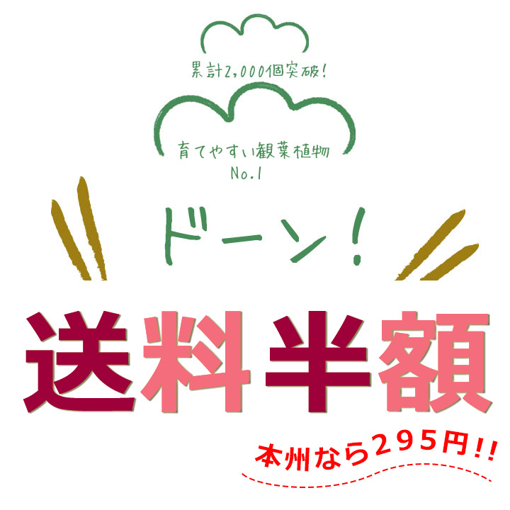 送料無料バナー