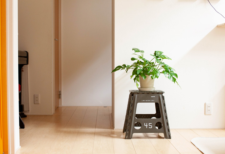 植物 サイズ