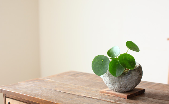 和風 植木鉢