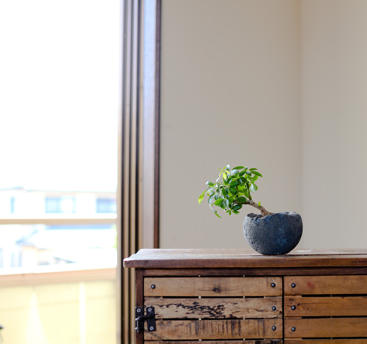 和風 植木鉢