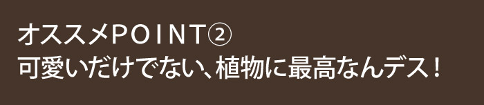 リサイクル素材の鉢