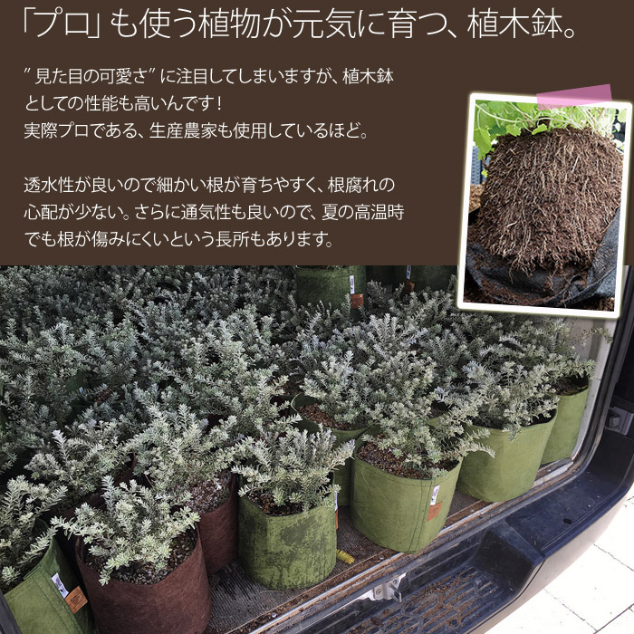 リサイクル素材の鉢