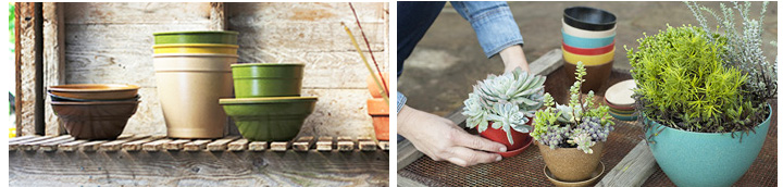 エコフォームズecoforms植木鉢｜土に還る素材でサスティナブルe花屋