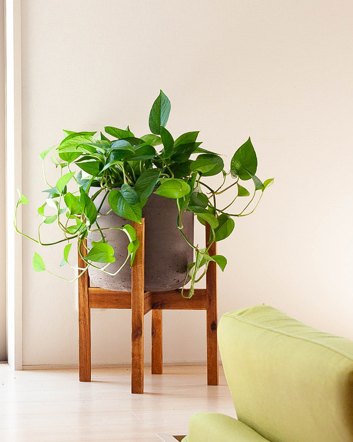スタンド付の植木鉢
