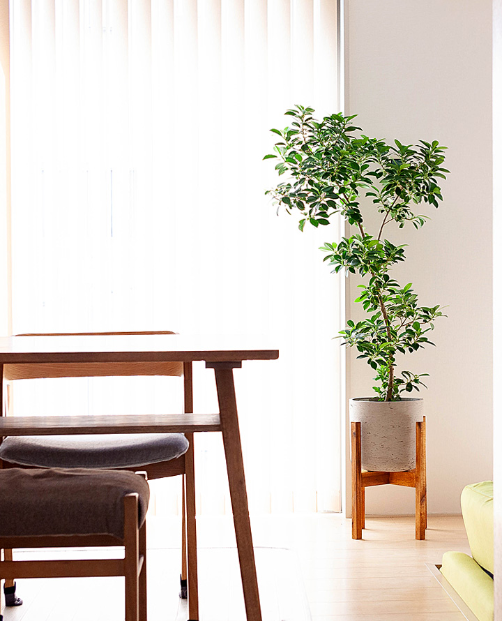 スタンド付の植木鉢