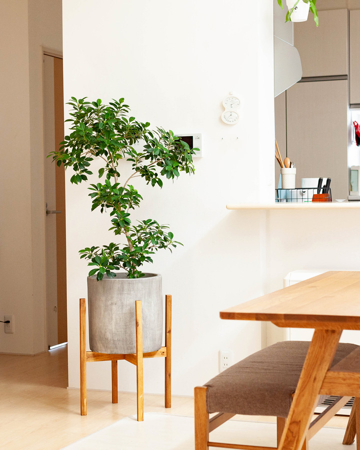 シリンダー型の植木鉢