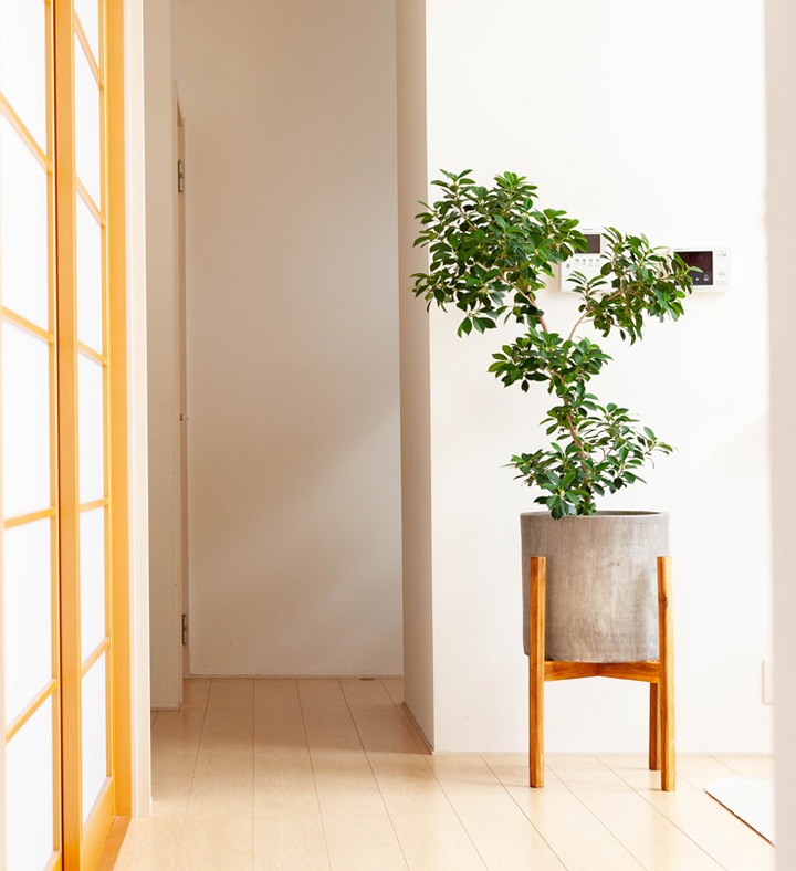 インテリアに合わせやすいお洒落な植木鉢