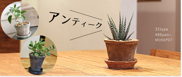 小さめ植木鉢 おしゃれな鉢と植物の専門店 公式 E 花屋さん