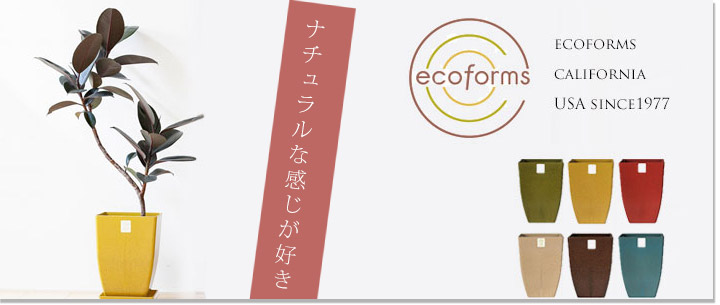 小さめ植木鉢 おしゃれな鉢と植物の専門店 公式 E 花屋さん