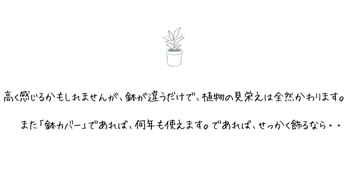 陶器鉢