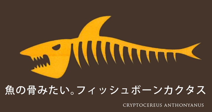 魚の骨ジグザグサボテンのロゴ