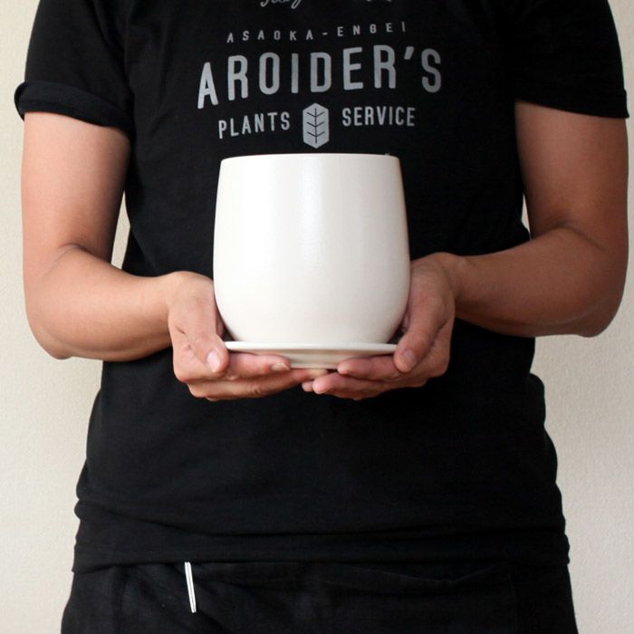 白い鉢（陶器）観葉植物がおしゃれに！寄せ植えできる大きめサイズ