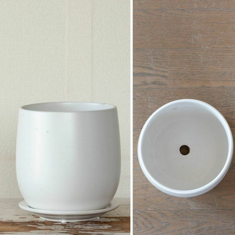 000000000629-04-l.jpg?t=