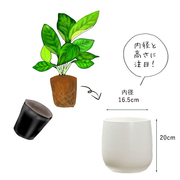 白いマットな植木鉢！5～6号の観葉植物の植え替えに
