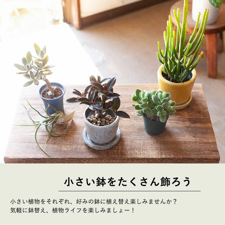 北欧テイストの小さめ植木鉢 2 2 5号サイズ植物の植替えに適応