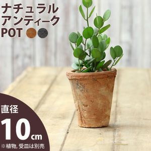 モスポット直径10cm×高さ12cm