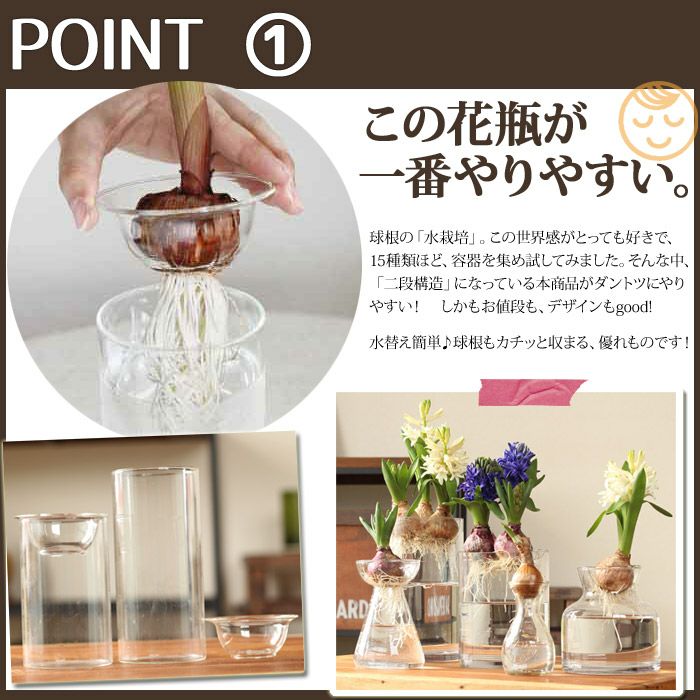 ヒヤシンスの水栽培set 球根 花瓶 Sサイズ 公式 E 花屋さん