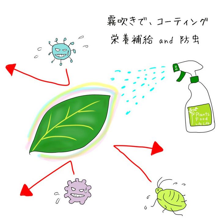 2022年のクリスマスの特別な衣装 プランツフード活力液 お得な詰め替えボトル 1000ml levolk.es