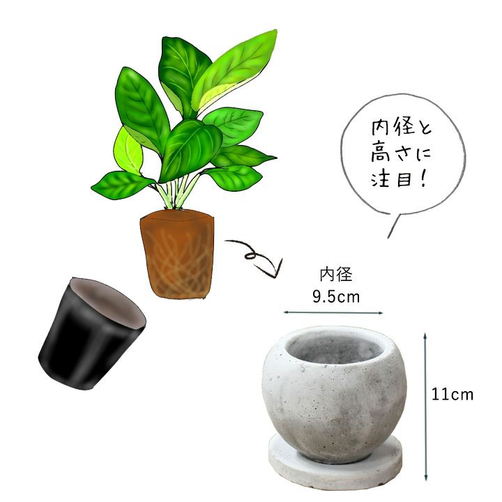 セメント質感丸い陶器鉢｜3～3.5号の観葉植物の植え替えに