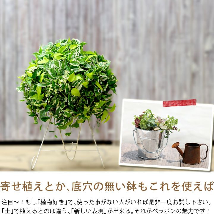 ベラボン プレミアム 5リットル 公式 E 花屋さん